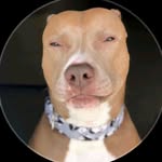 Colby Mccormick - @colbymccormick1 - Instagram