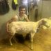 Colby McDonald - Facebook