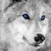 Colby McHugh - Facebook