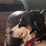 Colby Ross - @colbymcleanross - Instagram
