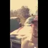 Colby Meadows - @colbymeadows1 - TikTok