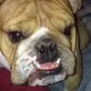 Colby Mills - @colby.mills2 - TikTok