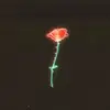 Colby Mocke - @colby.mocke - TikTok
