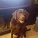 Colby Monahan - Facebook