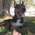 colby jae murray mills - @colby_cheese19 - Instagram