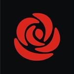 @colbymckneely7123 - Instagram