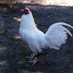 Colby Padgett - @colbypadgett74 - Instagram