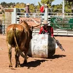 Colby Padgett - @colbyaaron11 - Instagram