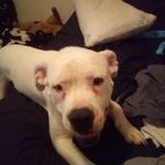 Colby Padgett - @colby.padgett.357 - Instagram