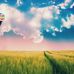Colby Palmer - Facebook