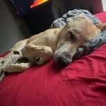 Colby Price - @colbyprice77 - Instagram