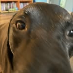 Walker Colby Swartz - @walkerswartz - Instagram