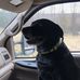Colby Thomas - Facebook