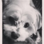 Colby - @colbywalsh - Instagram