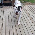 Colby Walsh - Facebook