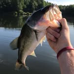 Cole Atchison - @cole_atch - Instagram