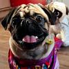 Coleen Bates - @coleen.bates8 - TikTok