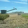 Cole Berg - @coleberg2 - TikTok