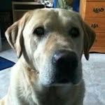 killerkirby21 - @colebolton - Instagram