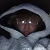 Cole Bradley - @cole.bradley3 - TikTok
