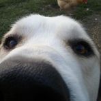 Coles Brundage - Facebook