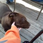cole.calhoun - @cole.calhoun1 - Instagram