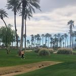 Cole Cameron - @cole.golfs.sometimes - Instagram