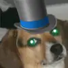Cole Cannon - @cole.cannon40 - TikTok