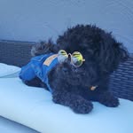 Cole Chavez - @colacito_theteddybear - Instagram