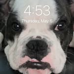 Cole Conlin - @conlinc - Instagram