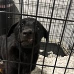 Cole Dawson - @coledawson282 - Instagram