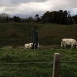 Cole Dean - @coledean.official - Instagram