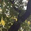 Cole Dean - @coledean39 - TikTok