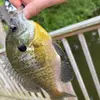 Cole Dotson - @cole.parker.dotso - TikTok