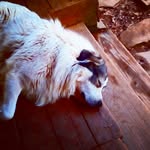 Cole Dotson - @coledotson2001 - Instagram