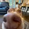 coledowney4 - @coledowney4 - TikTok