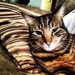 Cole Downing - @coledowning1021 - Instagram