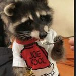Cole Downs - @cole_downs19 - Instagram