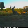 Cole Downs - @cole.downs5 - TikTok