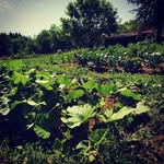 Cole Downs - @colejeandowns - Instagram