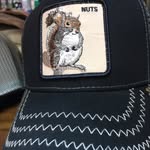 Cole Downs - @coledowns82 - Instagram