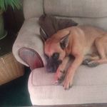 Cole Duffy - @cole.duffy.739 - Instagram