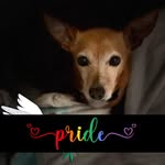 Marcie Cole Eason - @marcie.eason - Instagram