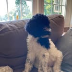 Colton eckenrode - @coltoneckenrode - Instagram