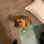 Cole Ely - Facebook