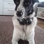 Nicole Endres-Helmstetter - @nicoleendreshelmstetter - Instagram