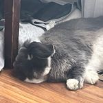 Cole Erdman - @coleerdman631 - Instagram