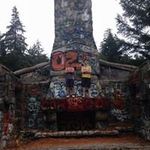 Cole Erickson - @coleerickson206 - Instagram
