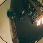 cole erickson - @c_o_l_e_e_r_i_c_k_s_o_n_ - Instagram