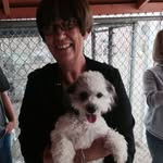 Carol Cole Eubanks - @salbeee1944 - Instagram